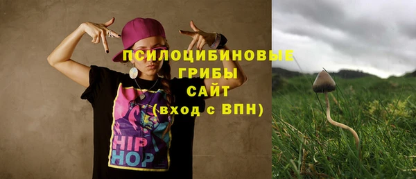 трава Инта