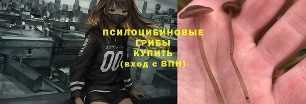 амф Зеленокумск