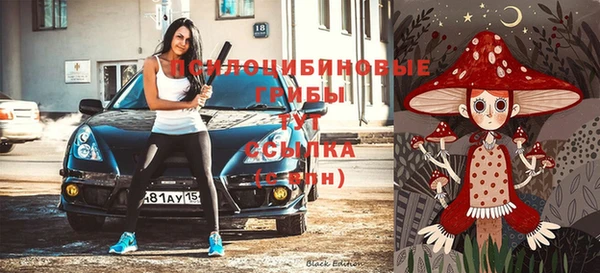 МДПВ Заводоуковск