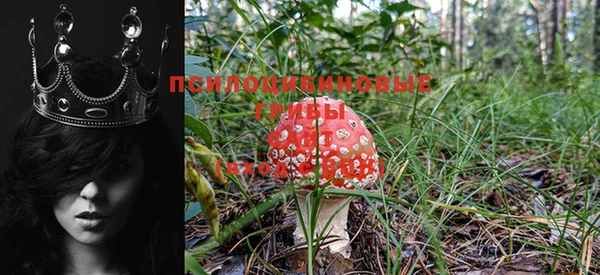 каннабис Иннополис