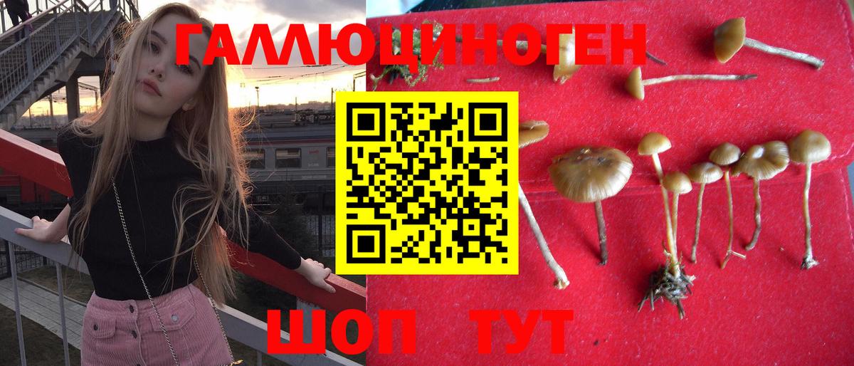 Галлюциногенные грибы мухоморы Карталы
