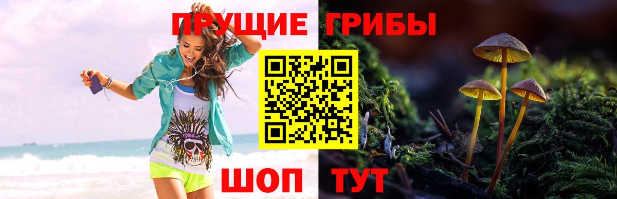 Галлюциногенные грибы мухоморы  Галлюциногенные грибы GOLDEN TEACHER  Карталы  Вход с VPN 